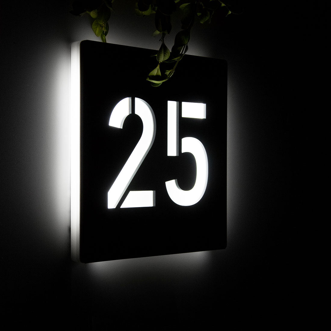 Numero civico luminoso modello Lux Square con luce Led fredda