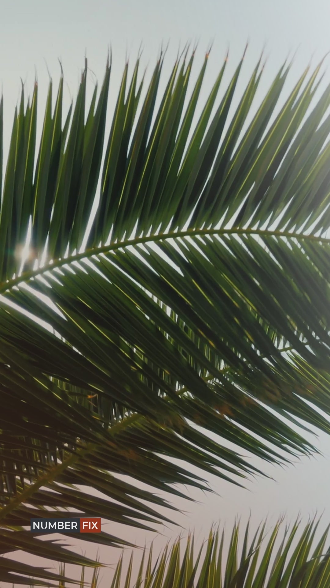 Backlit Aluminum House Number: Ode