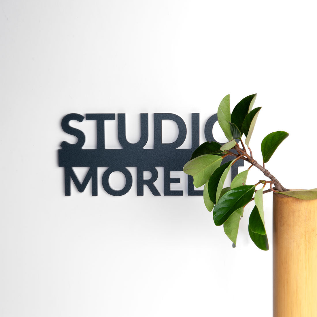 Targhetta due testi sagomati modello Line 03 Acrilico per studio